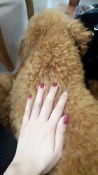 点击看大图 -喵酱日式美甲美睫Neko Nail Studio