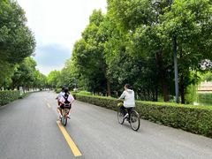 -乌村
