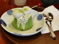 五十铃抹茶布丁-树夏Tree Summer
