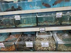 水产区-秋姐美食店(旅游大道店)