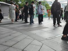 -西湖游船