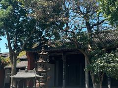-观潮胜地公园