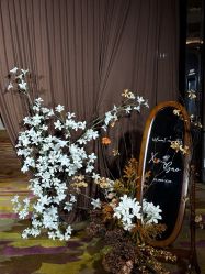 -Sugar苏格婚礼策划工作室