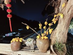 -杨家堂村