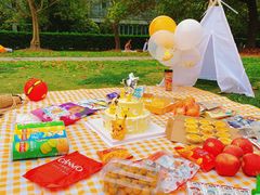 -上海共青森林公园