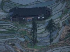 -紫鹊界梯田景区