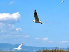 -捞渔河湿地公园