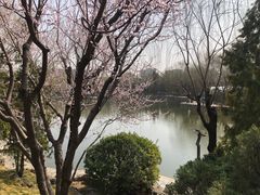 -团结湖公园