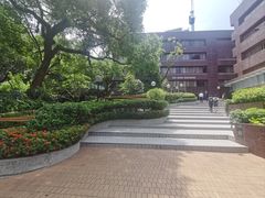 -香港大学