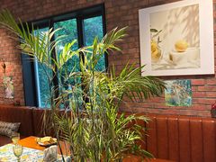 -弗兰克牛排西餐厅Ribone steak house(柠檬花园店)