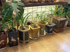 -Rabbit Cafe私房西餐甜点咖啡(栖霞路店)