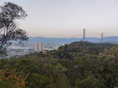 -金鸡山公园