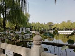 -丰台花园