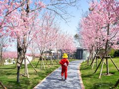 -福建鲤鱼洲酒店