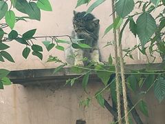 -青藏高原野生动物园