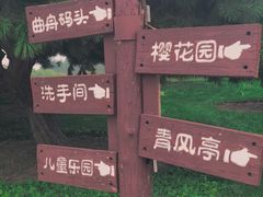-塘沽森林公园