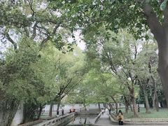 -西园戒幢律寺