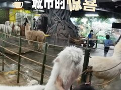 -上海大自然野生昆虫馆(东方明珠·爬宠昆虫探索中心)
