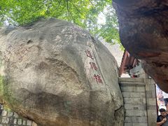 -青岛崂山太清宫