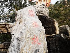 -大岭沟猕猴桃谷风景区