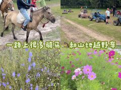 -塞罕坝国家级自然保护区