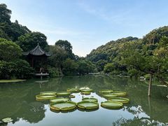 -云溪植物园
