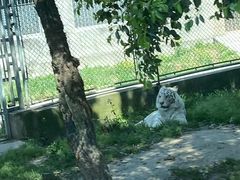 -上海野生动物园