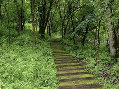 -叠溪松坪沟景区