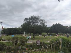 -东莞植物园