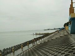 -瀛洲公园