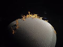 -深圳珠宝博物馆