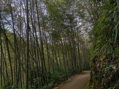 -千泷沟大瀑布旅游区