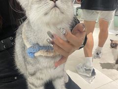 -怪兽屋·羊驼·猫咖·狗咖(俊华广场店)