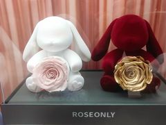 -ROSEONLY诺誓(国际广场购物中心店)