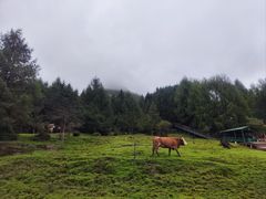-硗碛藏寨·神木垒景区
