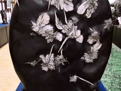 -游龙石文化科普馆