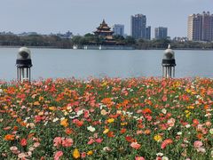 -顺峰山公园