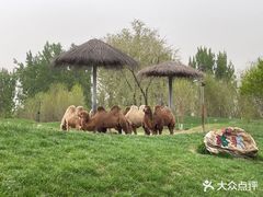 -北京野生动物园