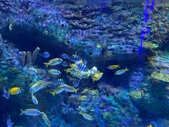 -海合安成都极地海洋公园
