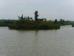 -大湾区中央湿地公园