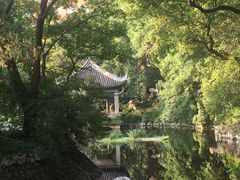 -叶家花园