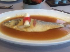 -子福慧(虹桥店)