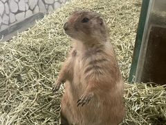 -海合安武汉极地海洋公园