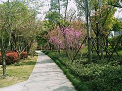 -南翔镇银翔湖公园