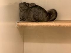 -龙猫仔乐园(惠福东路店)