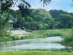 -王借岗森林公园