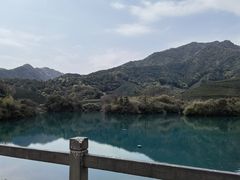 -龙坞茶村