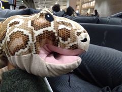 -宜家·瑞典风味餐厅(北京西红门店)