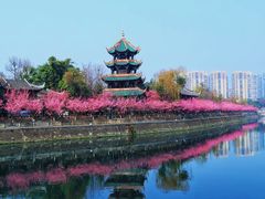 -望江楼公园
