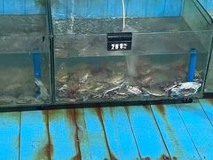 -蓝湾碧波·老字号·疍家非遗海上餐厅